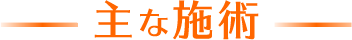 主な施術
