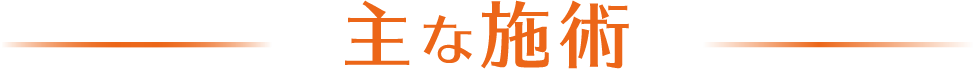 主な施術